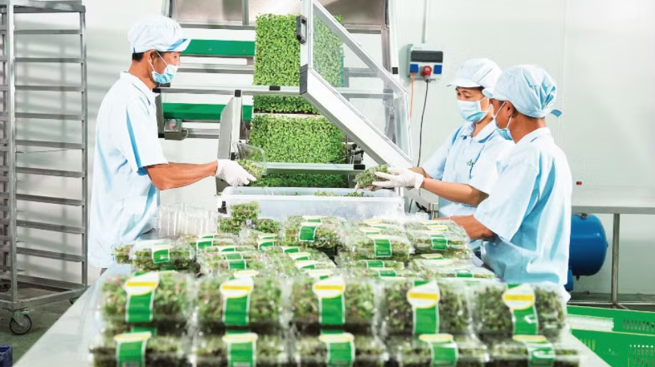 Gắn mã truy xuất nguồn gốc giúp minh bạch thị trường
