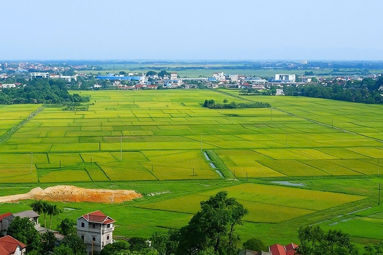 Kế hoạch triển khai cơ chế, chính sách đặc thù để xử lý vi phạm pháp luật về đất đai trước năm 2024