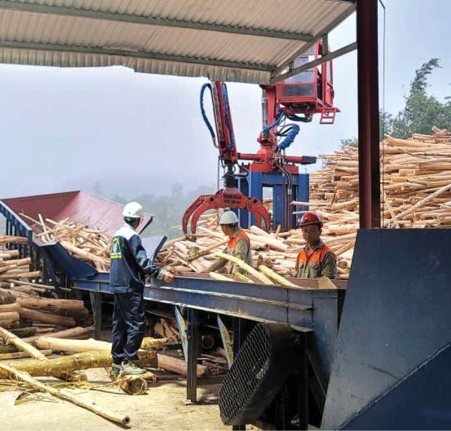 Đa dạng sinh kế để giảm nghèo bền vững