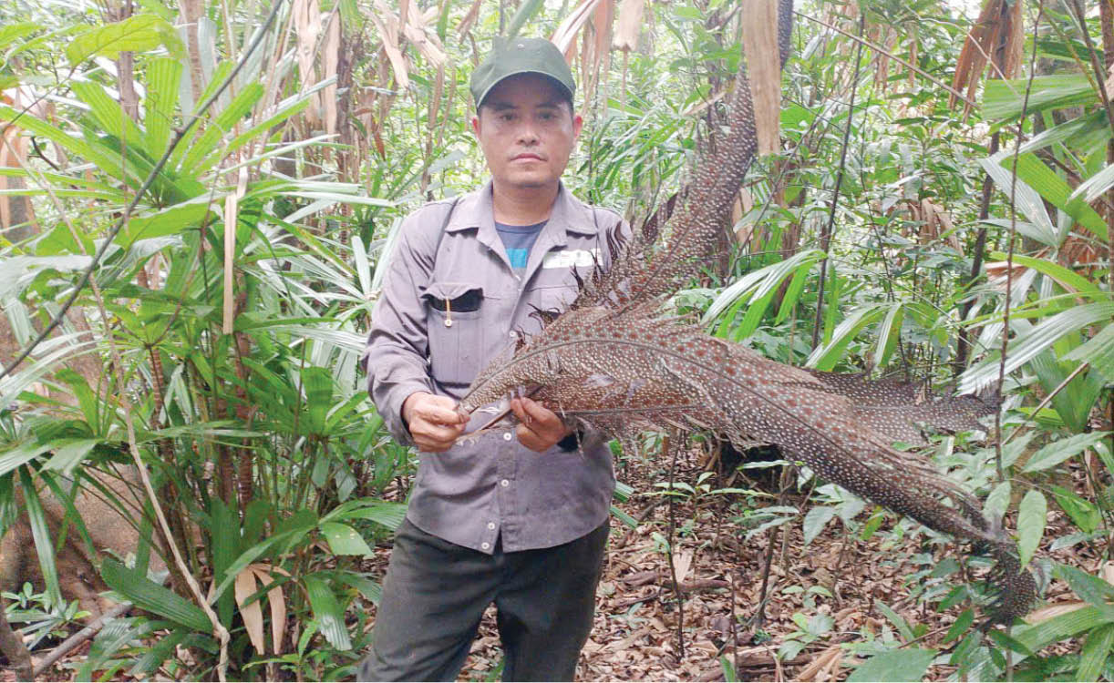 Bảo tồn khu vực đa dạng sinh học trọng điểm