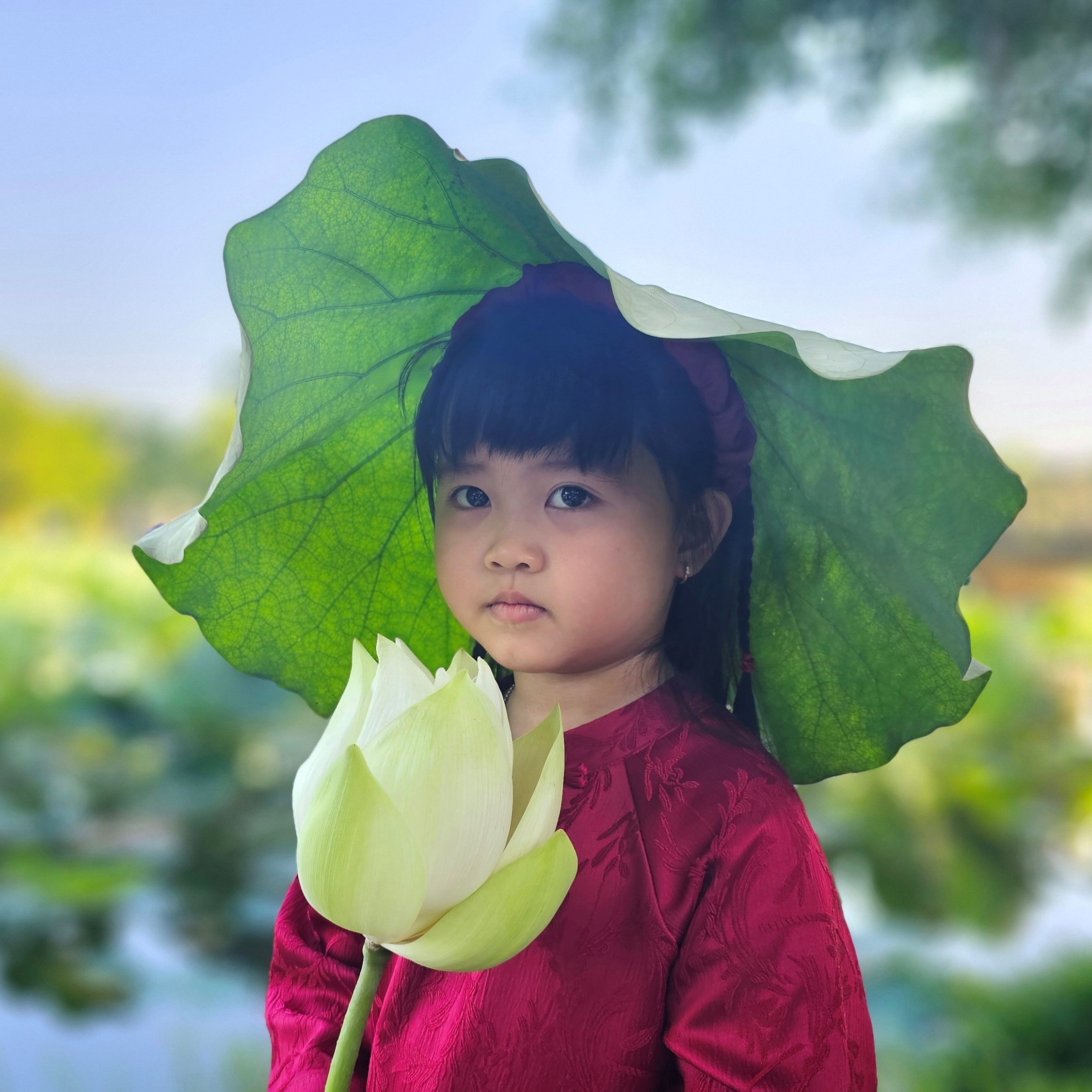 Vươn bùn lớn dậy như sen