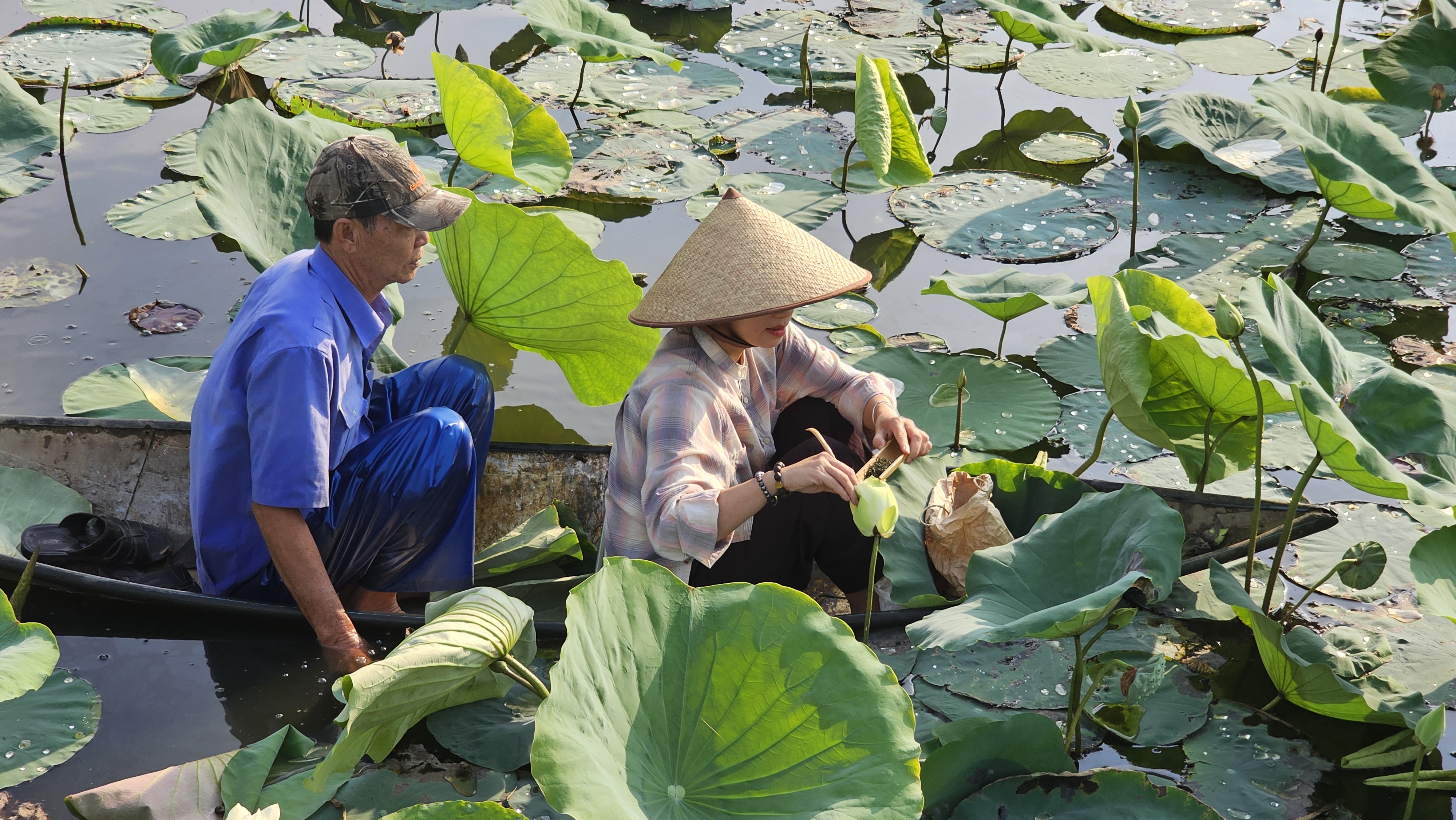 Vươn bùn lớn dậy như sen