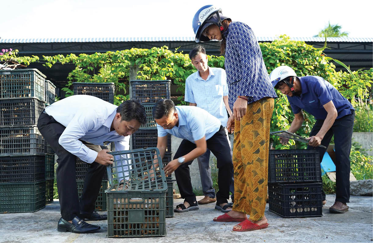 Hỗ trợ sinh kế cho người dân thiệt hại do thiên tai