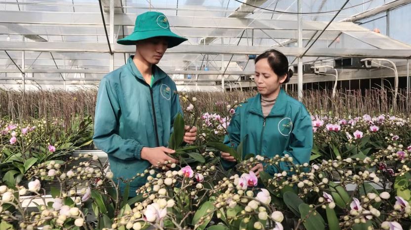 Động lực trung tâm thúc đẩy tăng trưởng