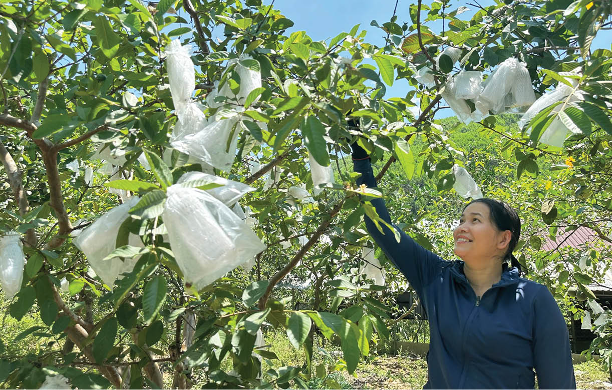 “Cần câu” cho phụ nữ khởi nghiệp