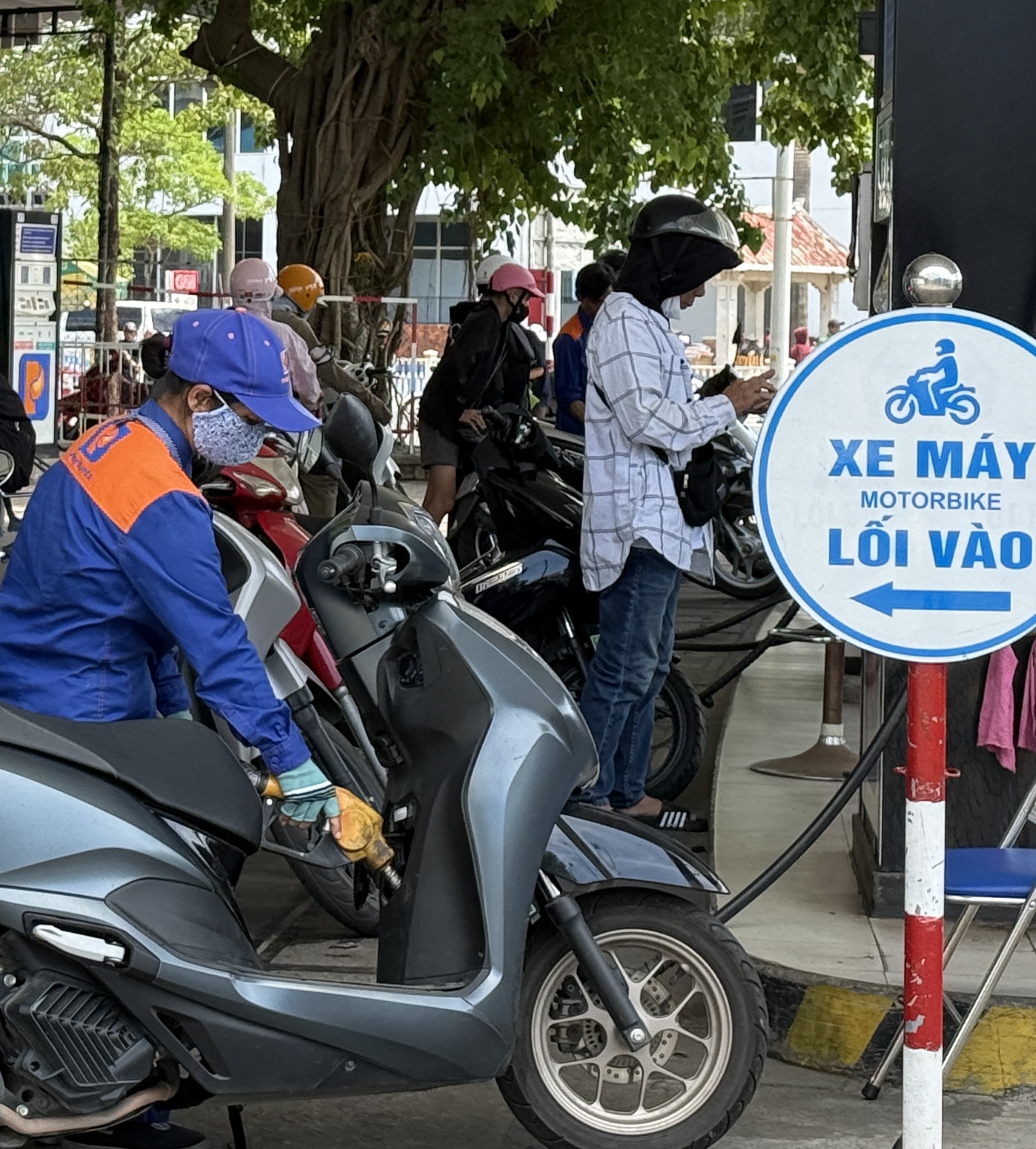 Thí điểm một số chính sách trong triển khai lộ trình sử dụng xăng E10