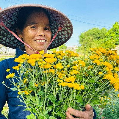 Làng hoa Giang Đông rộn ràng vào vụ