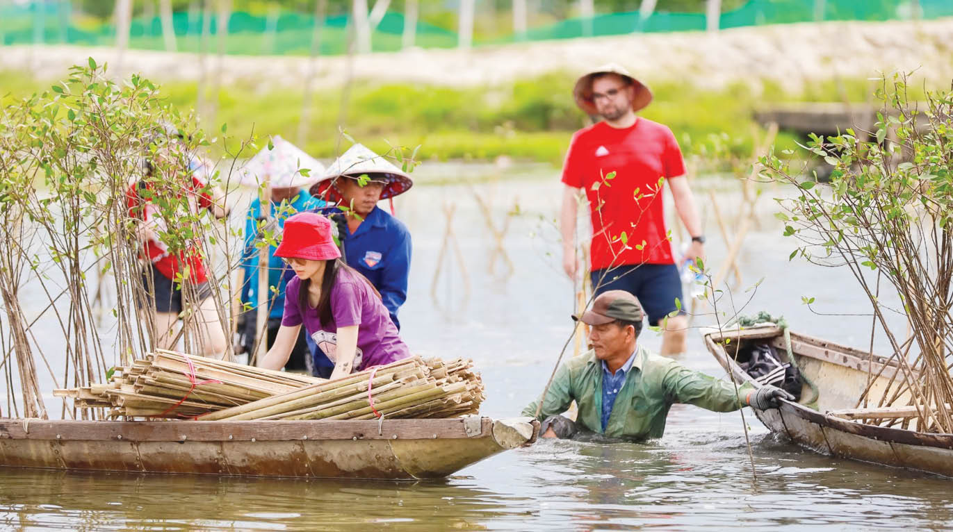 Phục hồi hệ sinh thái, bảo vệ nguồn lợi thủy sản