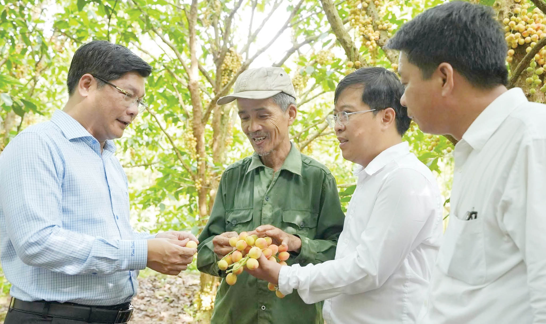 Đưa nghị quyết bám sâu vào thực tiễn