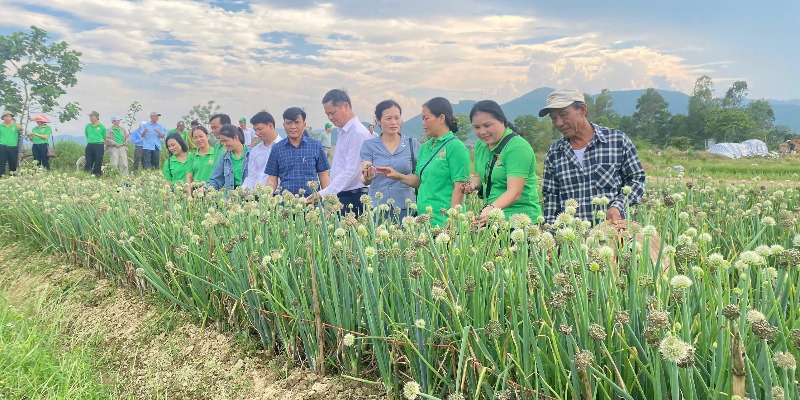 Nhân rộng các mô hình sản xuất hiệu quả của nông dân