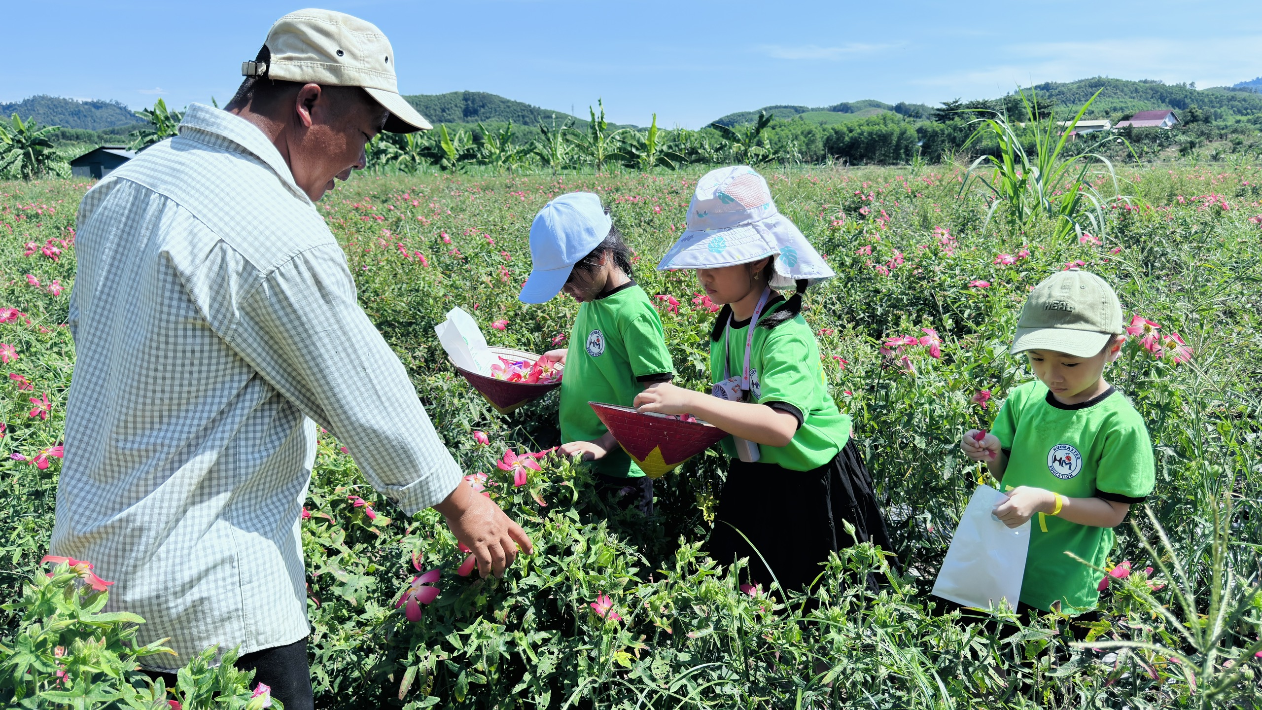 Nông dân nhí trải nghiệm mùa hoa sâm