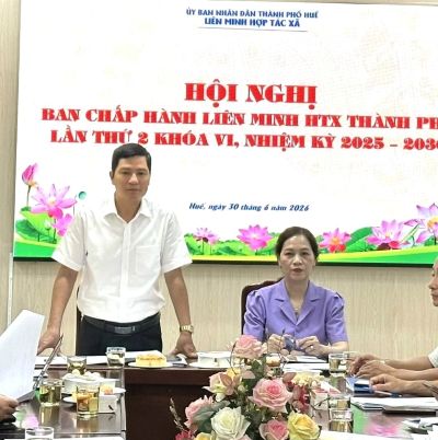 Tăng tốc thực hiện các mục tiêu phát triển hợp tác xã