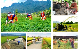 Giao kế hoạch đầu tư công trung hạn vốn ngân sách trung ương giai đoạn 2026 - 2030 của các chương trình mục tiêu quốc gia đợt 1 cho các bộ, cơ quan trung ương và UBND tỉnh, thành phố