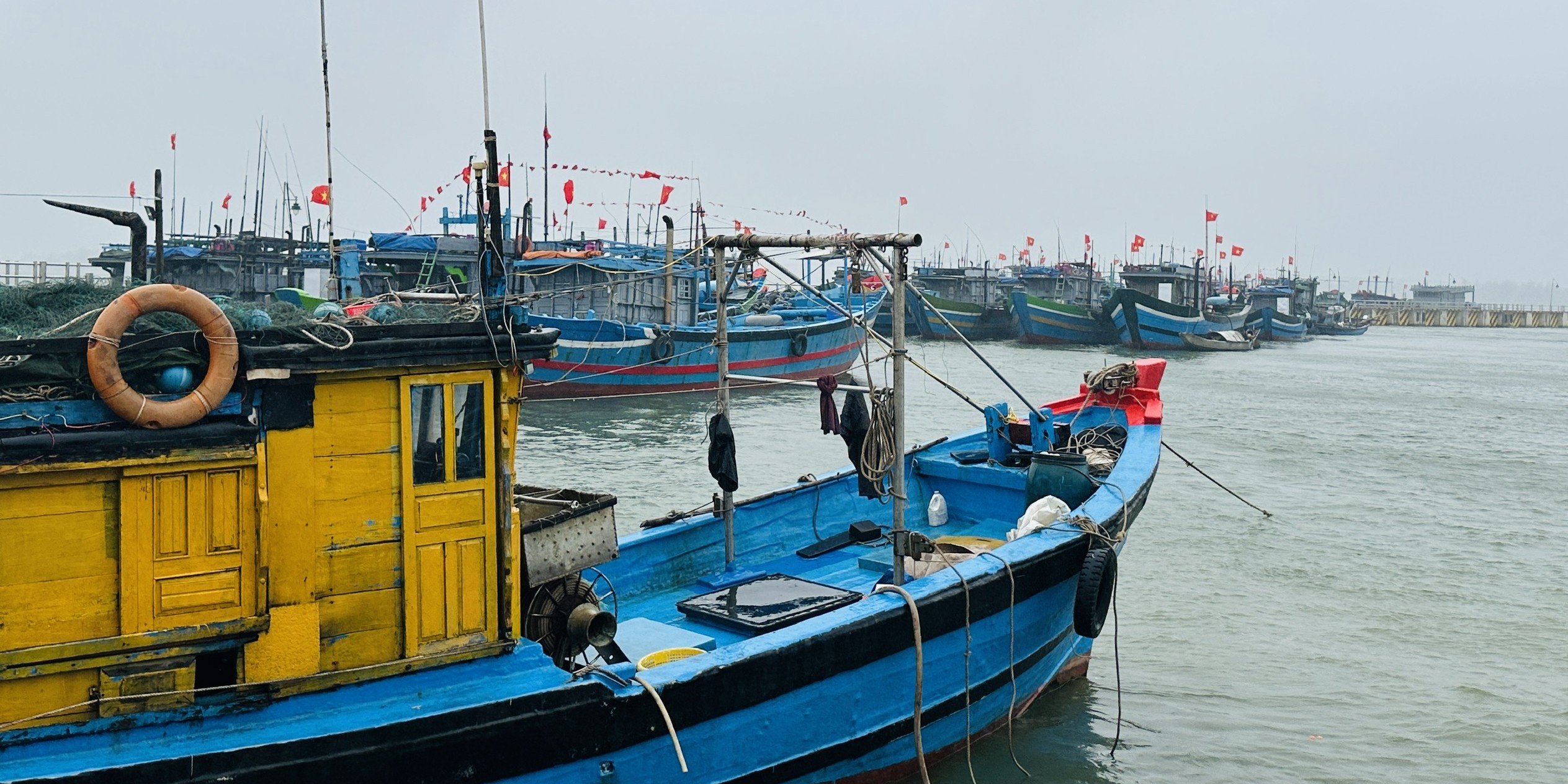 Chủ động ứng phó vùng áp thấp khả năng thành áp thấp nhiệt đới