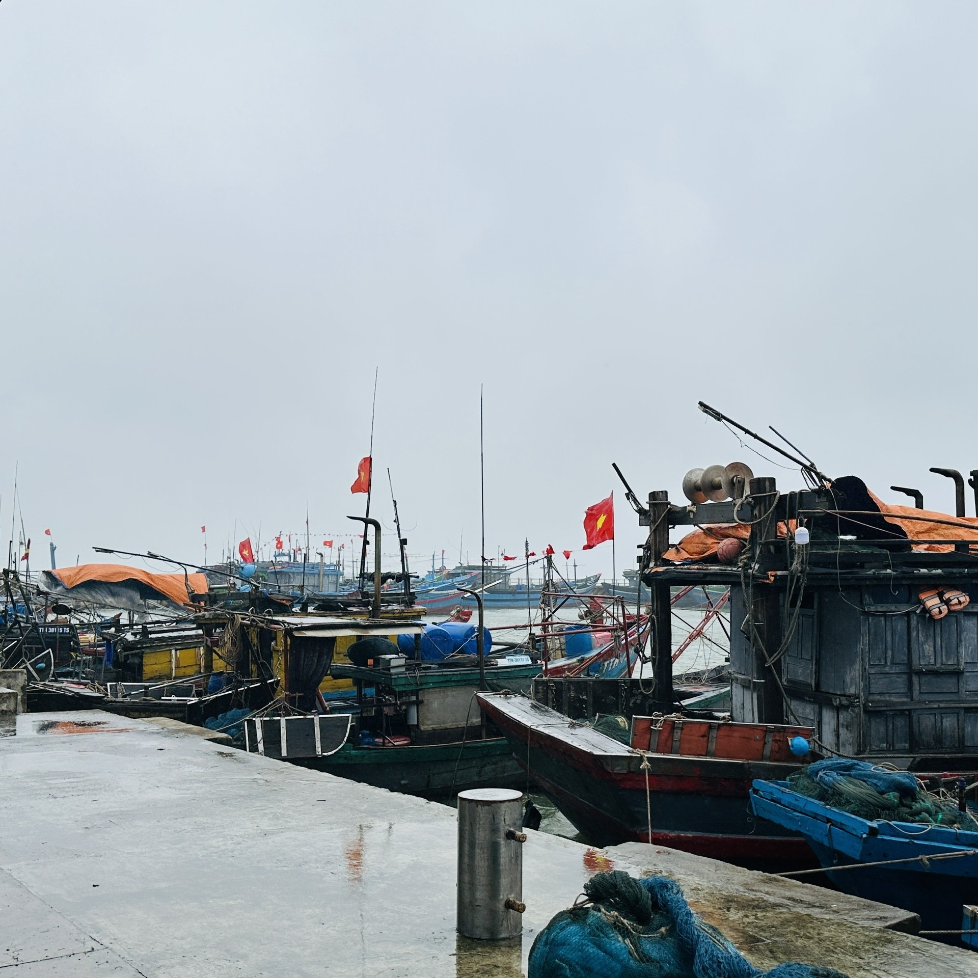 Chủ động ứng phó vùng áp thấp khả năng thành áp thấp nhiệt đới