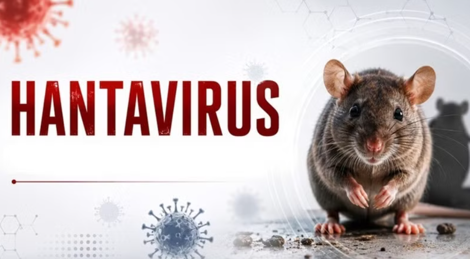 Ổ dịch do virus Hanta chủng Andes-ANDV đã được kiểm soát