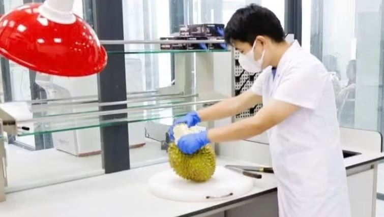 Công bố 37 cơ sở kiểm nghiệm Cadimi và Vàng O đạt tiêu chuẩn xuất khẩu sang thị trường Trung Quốc