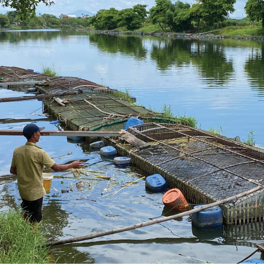 Giữ ôxy cho sông Bồ, giữ mùa nuôi an toàn