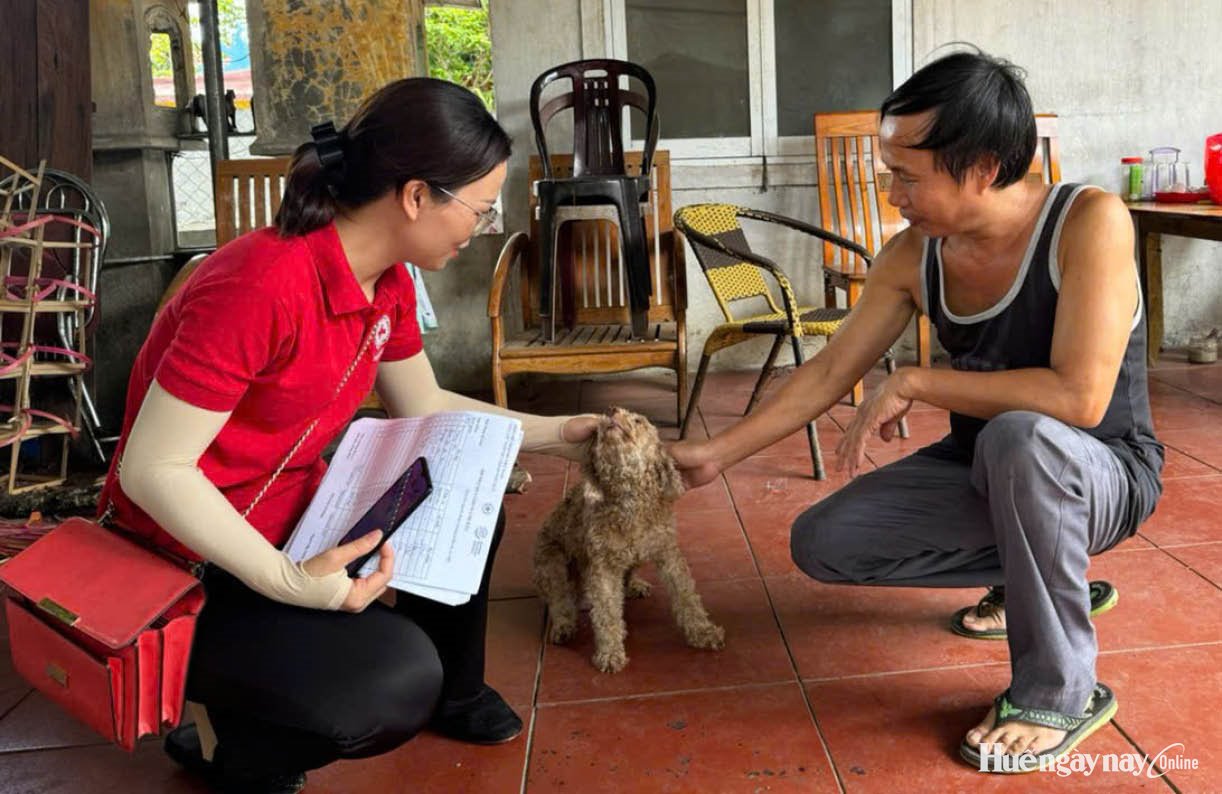 Đừng để vật nuôi bị bỏ lại trong mùa lũ