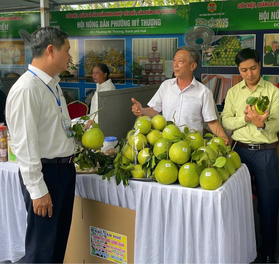 Đưa nghị quyết vào cuộc sống phù hợp với điều kiện thực tế