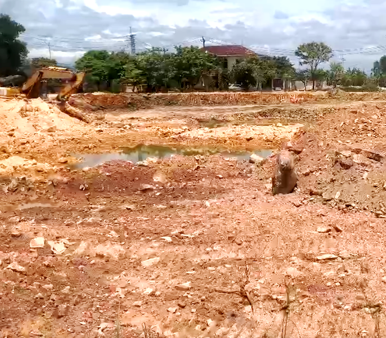 Cần làm rõ nguồn gốc, khối lượng đất đào múc tại Nhà máy sản xuất gạch Tuynel