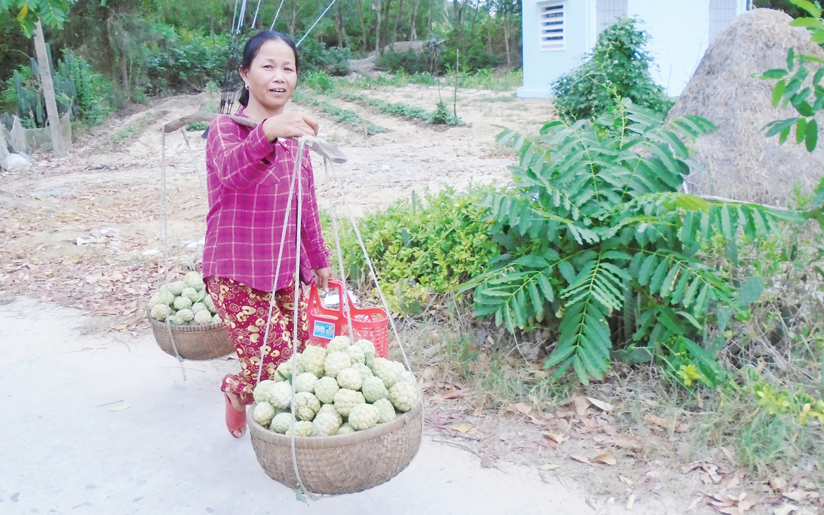 Triêng gióng giữa đời thường