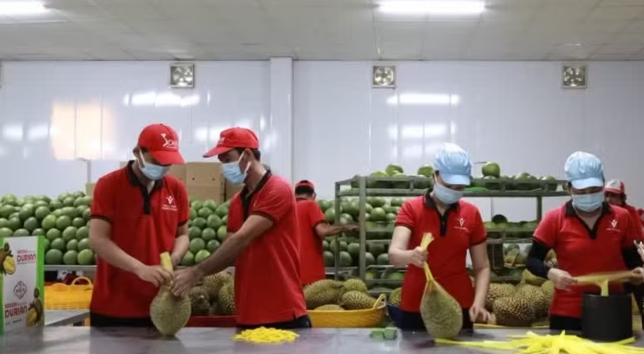 Giữ đà tăng trưởng xuất khẩu, hướng tới phát triển bền vững