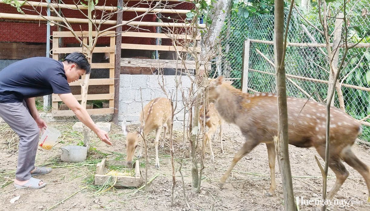 Tìm cách làm kinh tế hiệu quả