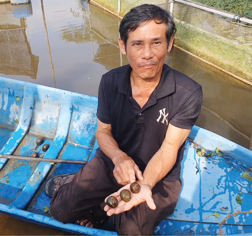 Dễ “làm chơi, ăn thật” với ốc bươu đen