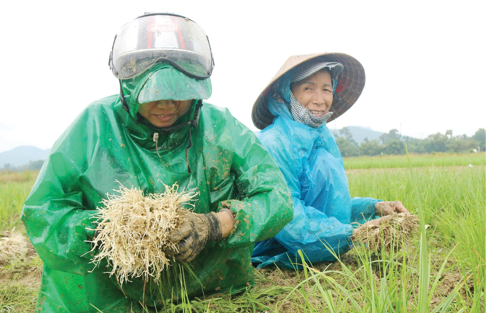 Định vị lại thương hiệu kiệu sẻ Hương Chữ