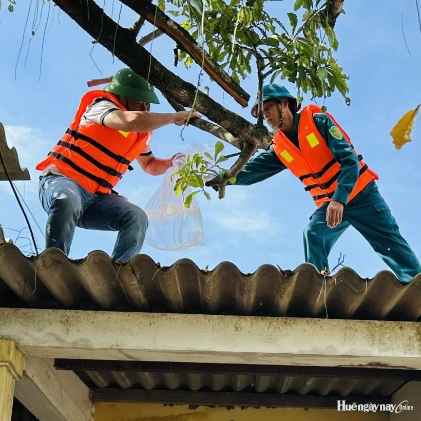 Diễn tập phòng, chống thiên tai và tìm kiếm cứu nạn phường Dương Nỗ