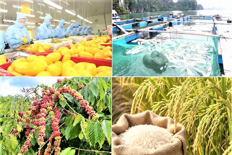 Hành động quyết liệt để đưa xuất khẩu nông, lâm, thủy sản vượt mốc 74 tỷ USD