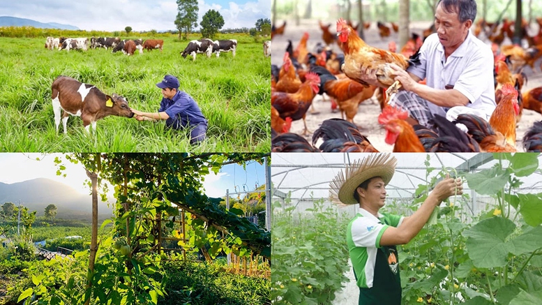 Chính sách mới có hiệu lực từ tháng 8 2026