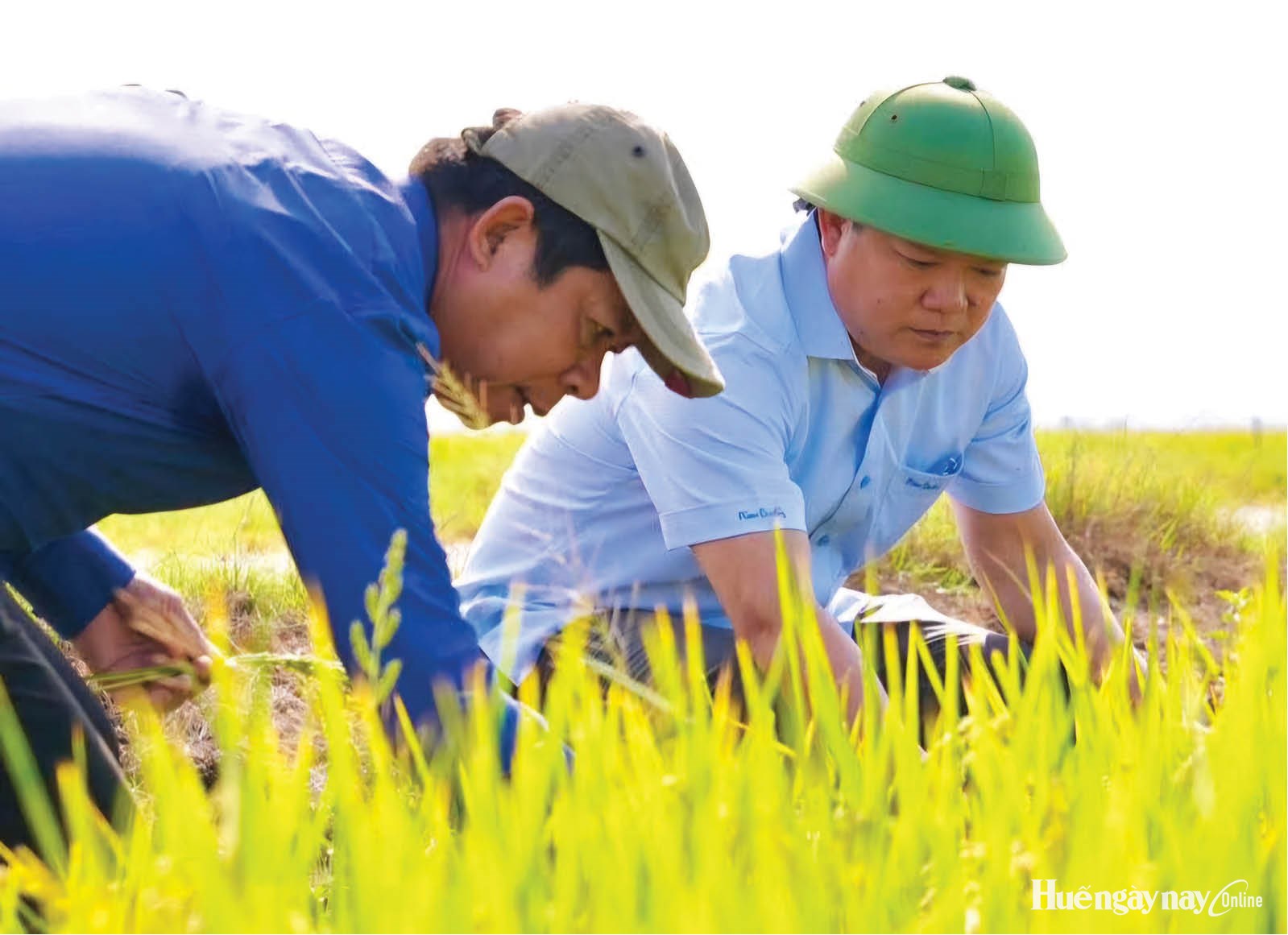Động lực để nông dân chuyển đổi sang mô hình canh tác xanh