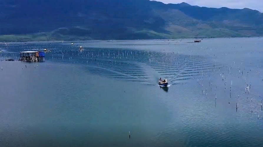 Nuôi hàu treo dây trên đầm Lập An