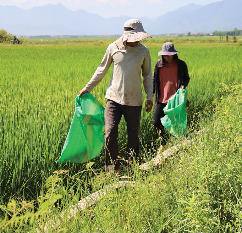 Giữ đồng ruộng sạch hơn từ những hành động nhỏ
