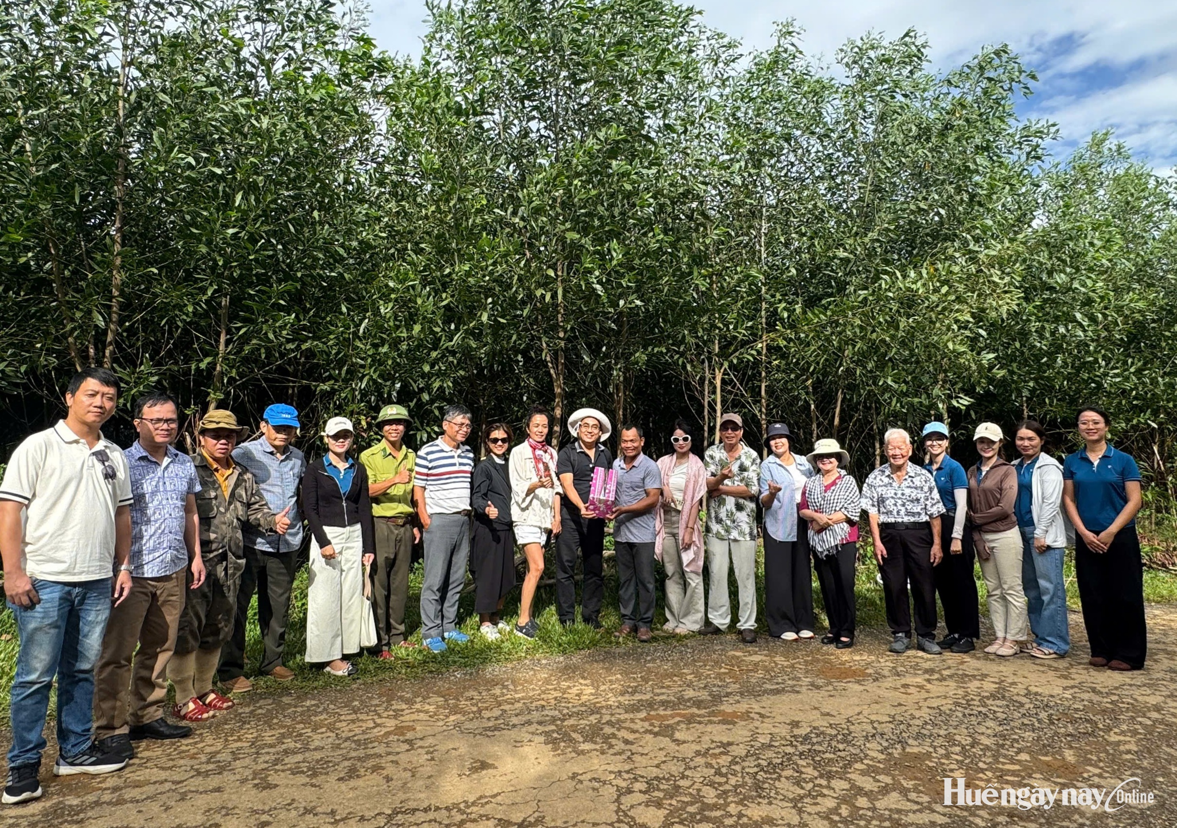Thúc đẩy phát triển lâm nghiệp bền vững hướng đến Net Zero 2050