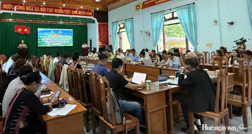 Thúc đẩy phát triển lâm nghiệp bền vững hướng đến Net Zero 2050