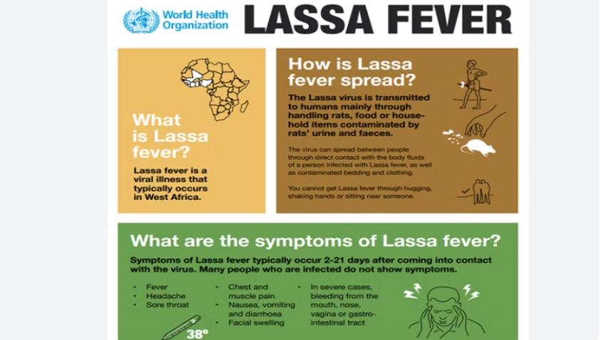 Số ca tử vong do dịch sốt Lassa ở Nigeria tăng lên 237 người