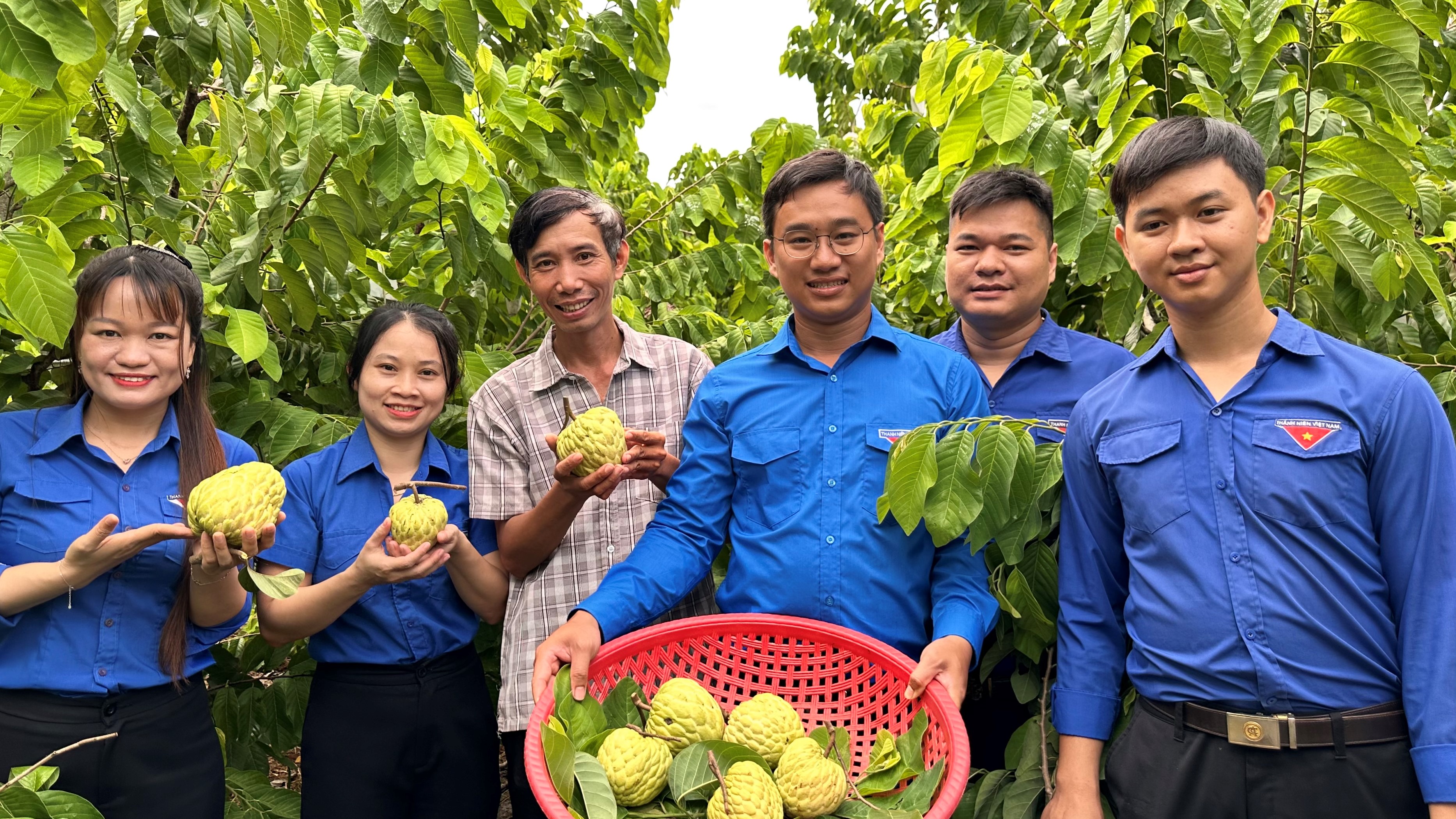 Mãng cầu Vinh Lộc lên nền tảng số