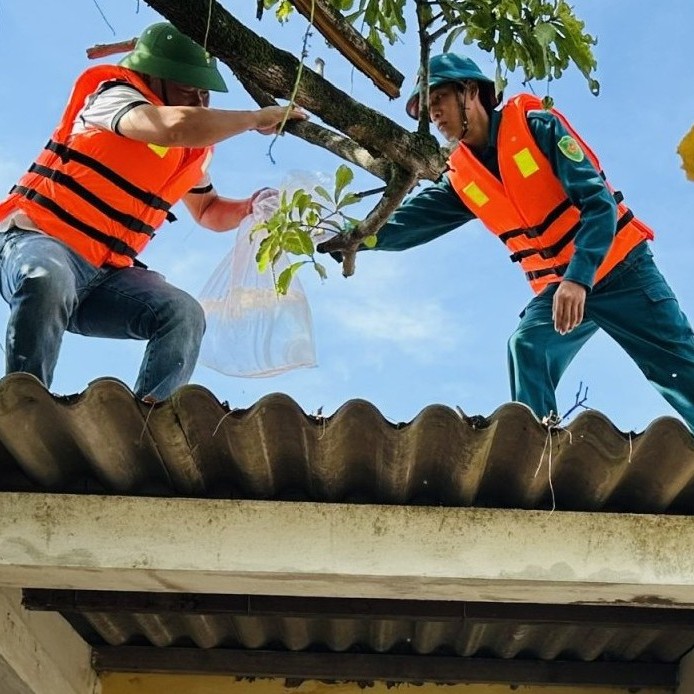 Cảnh báo gió mạnh trên đất liền