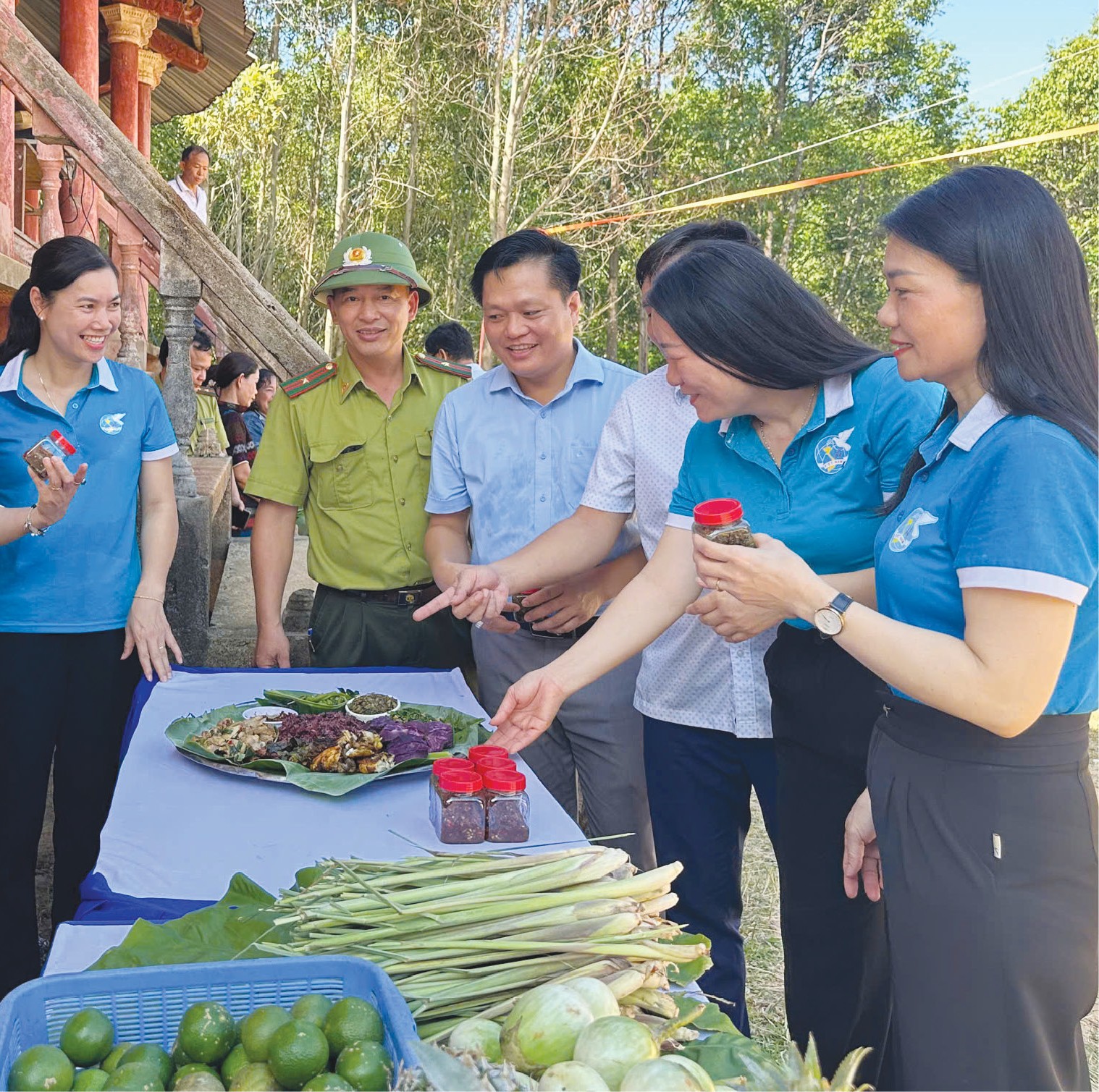 Đổi mới tư duy, nâng tầm hợp tác xã