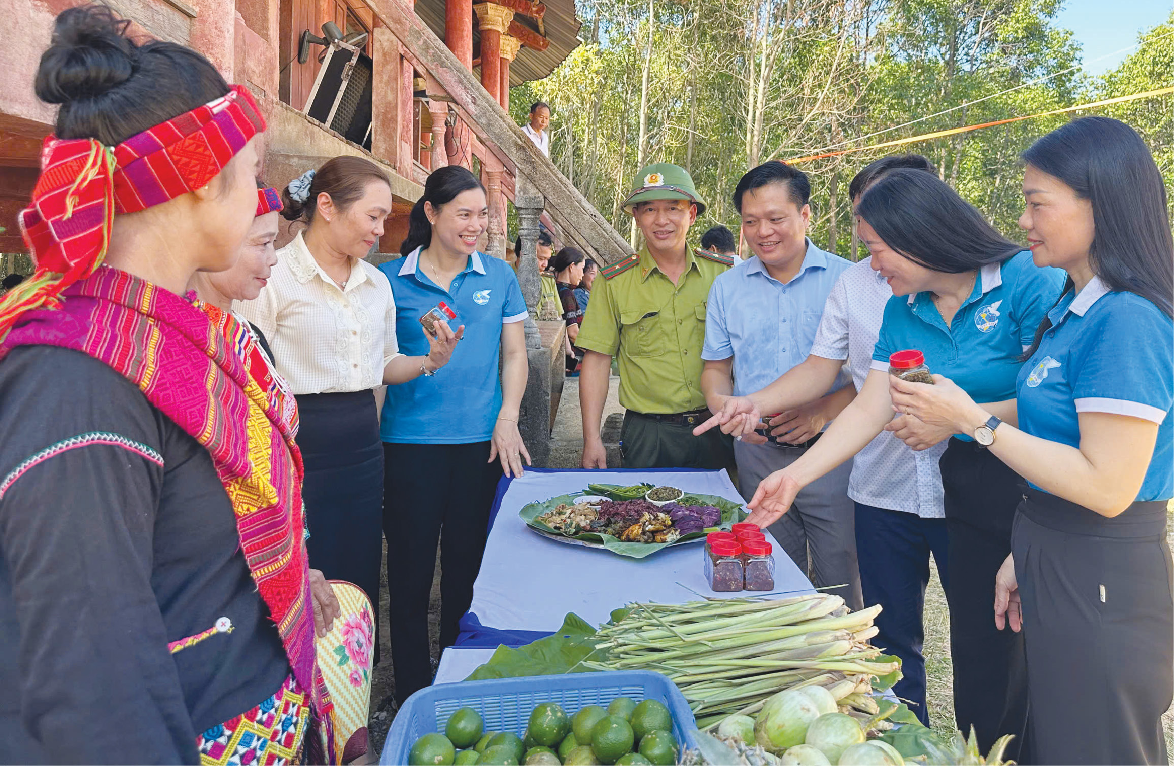 Đổi mới tư duy, nâng tầm hợp tác xã