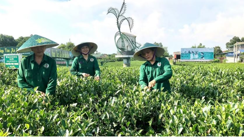 Chuyển đổi số trong sản xuất nông nghiệp