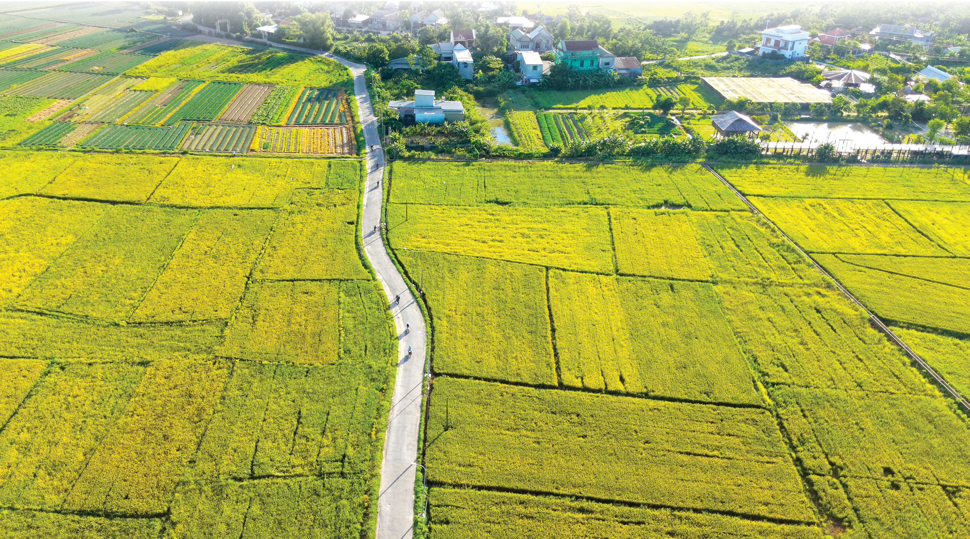 Những cung đường ấm no