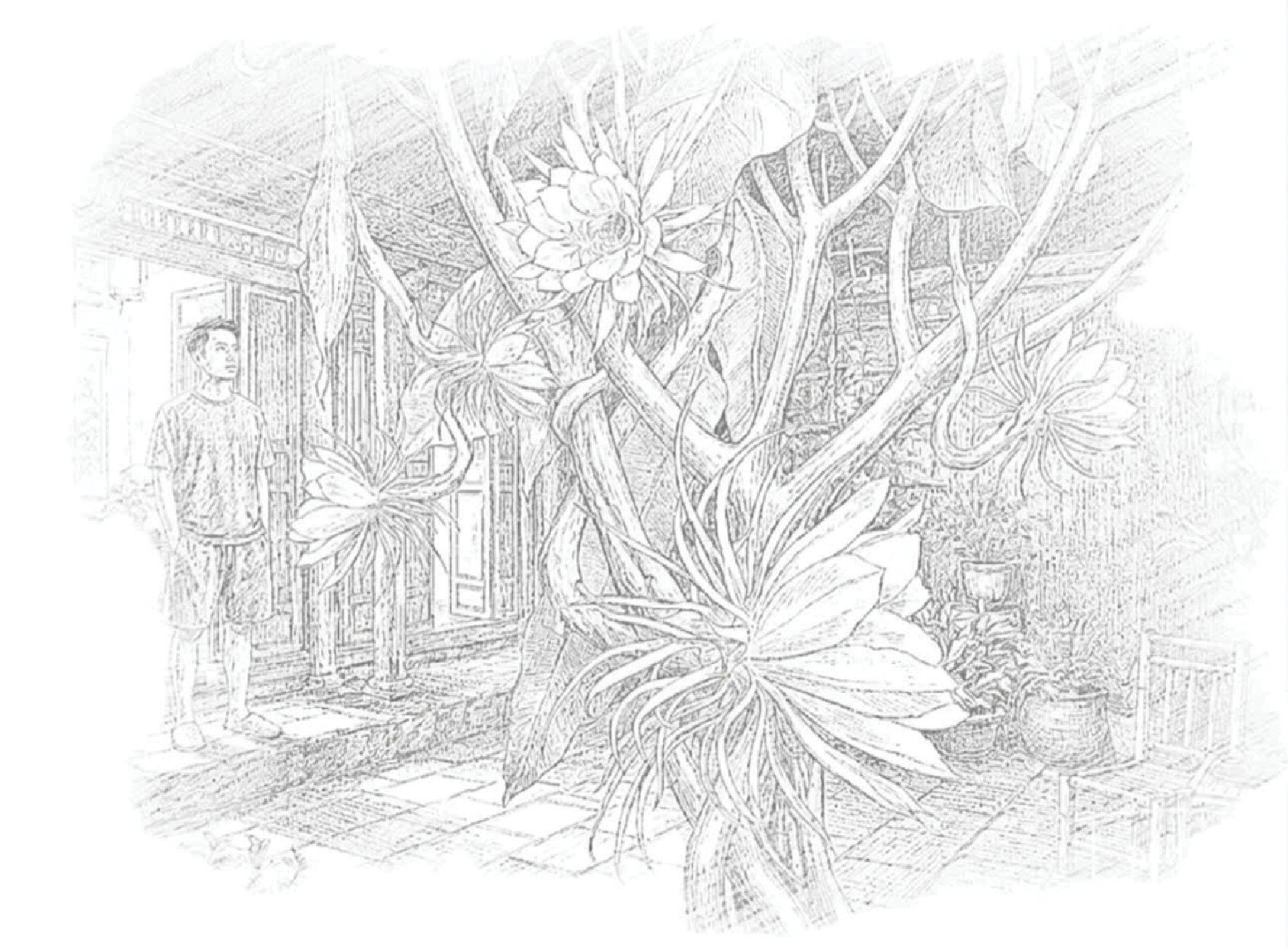 Hoa quỳnh nở muộn