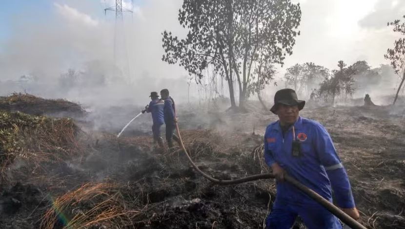 Indonesia huy động tổng lực ứng phó cháy rừng