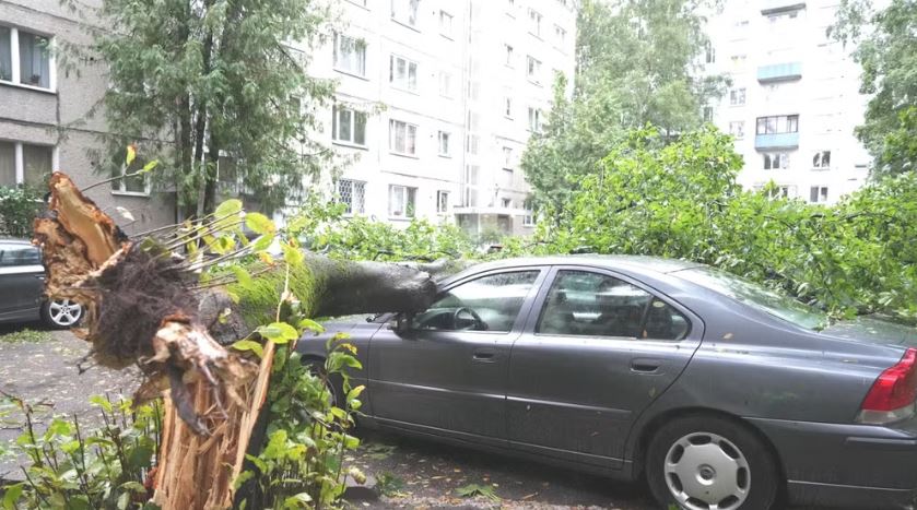 Mưa bão hoành hành tại nhiều nước