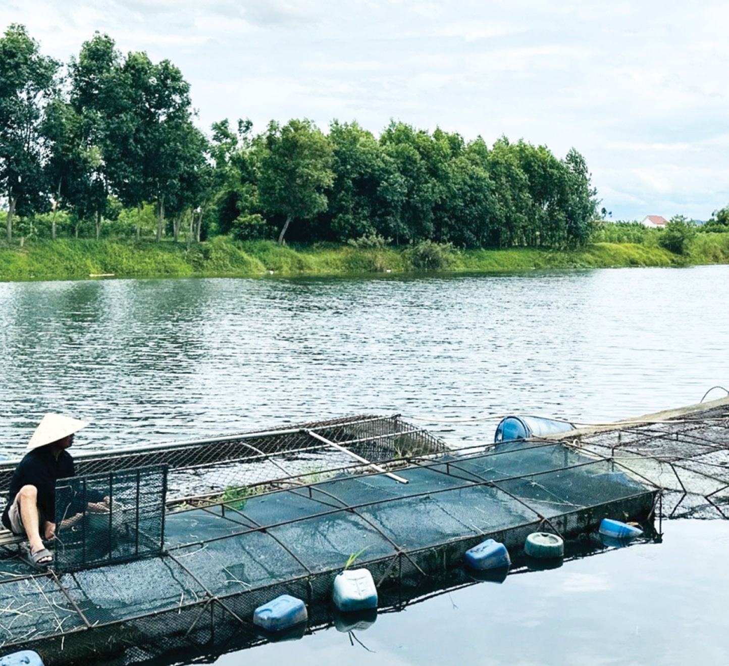 Không thể “đánh cược” mãi với thời tiết