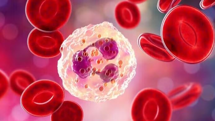 Lần đầu tiên phát triển thuốc dựa trên virus điều trị ung thư thực quản